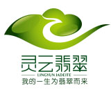 深圳市灵云珠宝有限公司